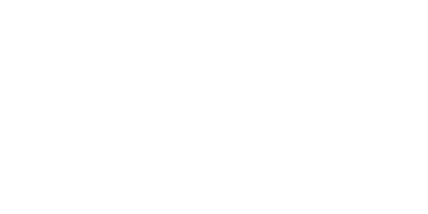 플레이텍 logo